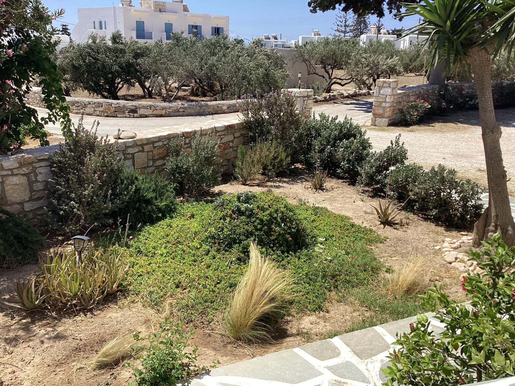 דירות דריוס Nefeli מראה חיצוני תמונה